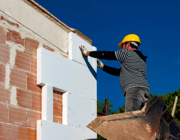 Best Insulation Maintenance and Repair in Ly Lake, IL