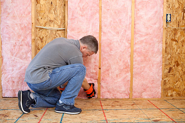 Best Insulation Installation Services in Ly Lake, IL